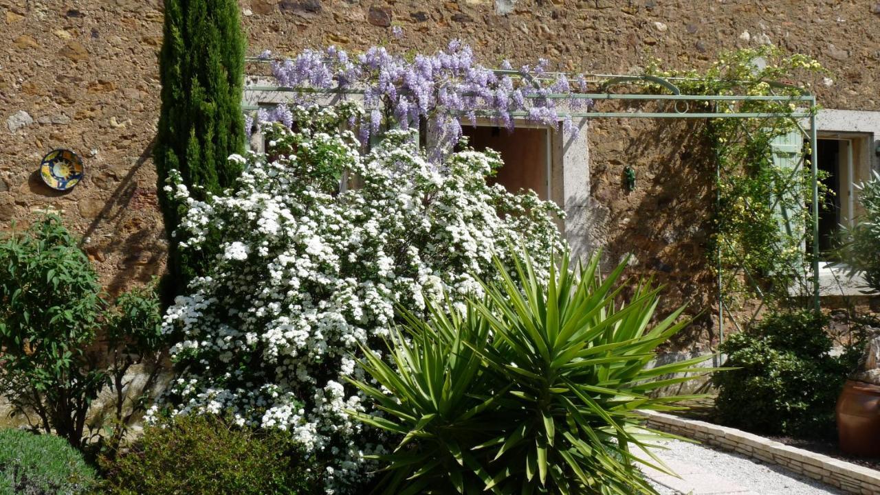 Chambre D’Hôtes Nature Et Saveurs Boutenac Exterior foto