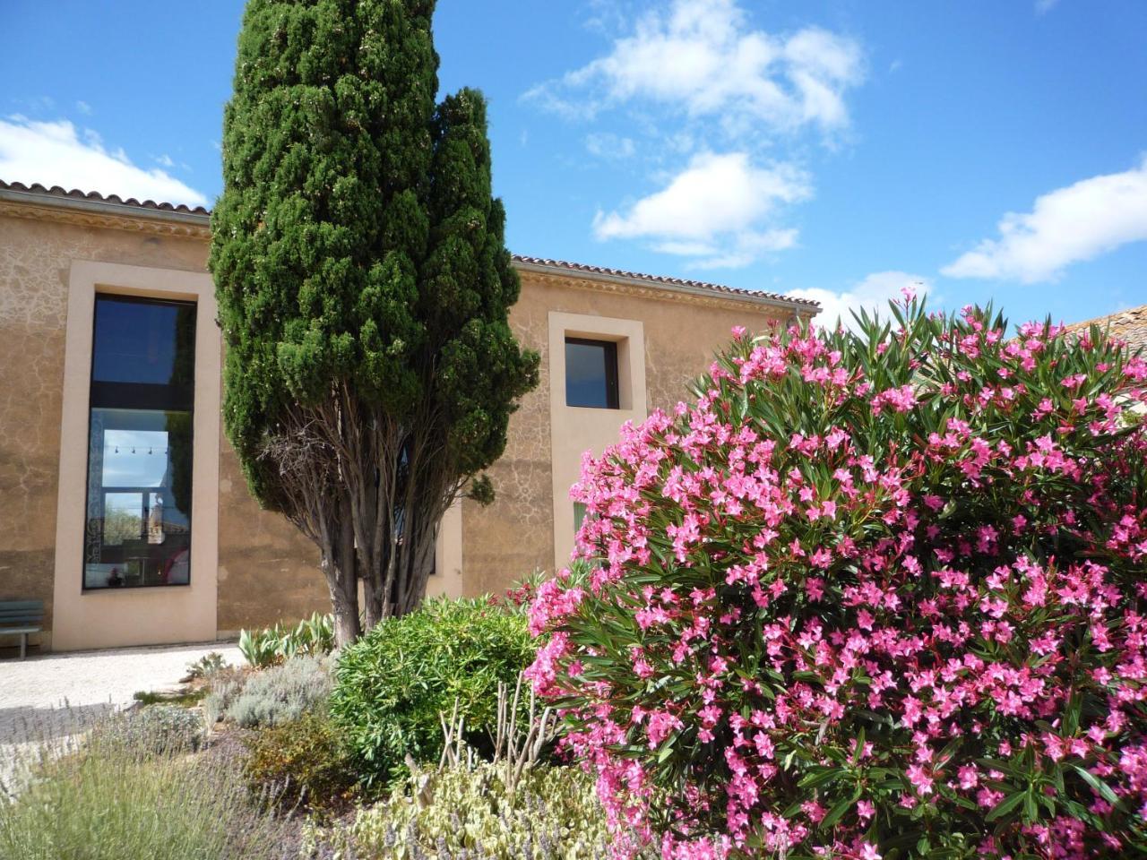 Chambre D’Hôtes Nature Et Saveurs Boutenac Exterior foto